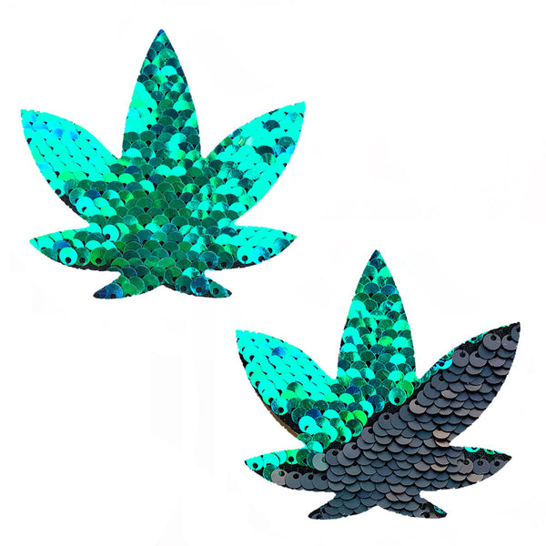 219417910.jpg