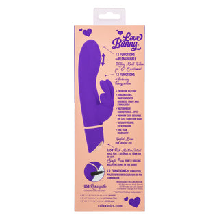 Love Bunny Rollin' "G" Bunny Purple