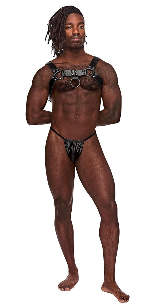 Aries Leather Harness - One Size - Black - TruLuv Novelties