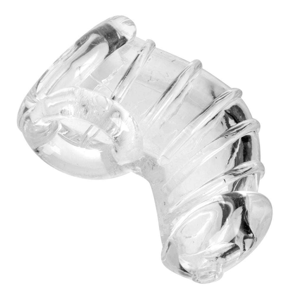 Detained Soft Body Chastity Cage - TruLuv Novelties
