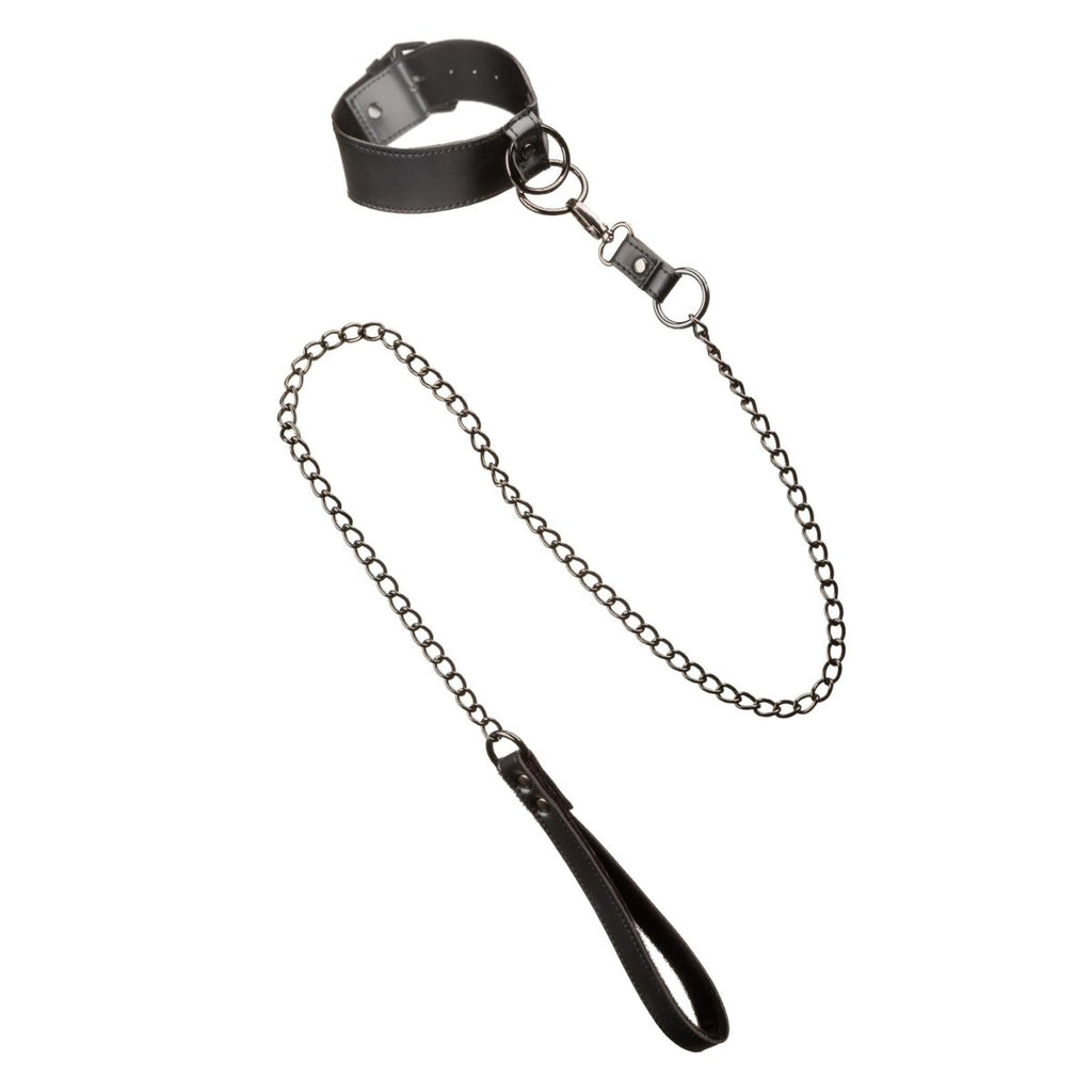 Euphoria Collection Collar With Chain Leash - Black - TruLuv Novelties