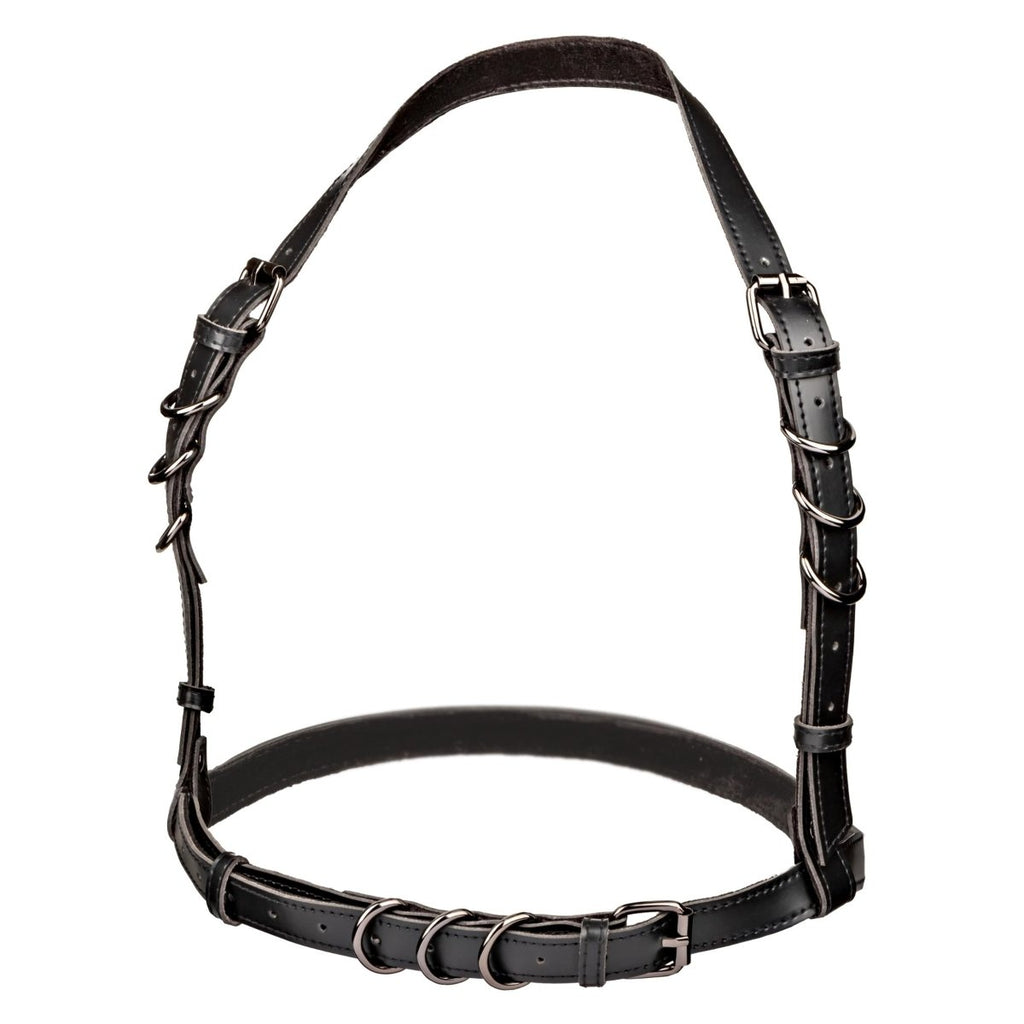 Euphoria Collection Halter Buckle Harness - Black - TruLuv Novelties