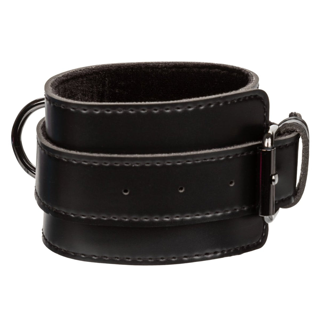 Euphoria Collection Hog Tie - Black - TruLuv Novelties