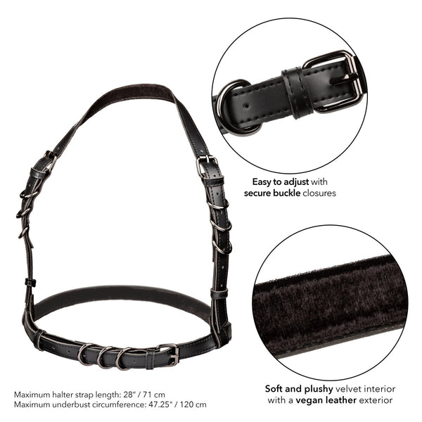 Euphoria Collection Plus Size Halter Buckle Harness - Black - TruLuv Novelties