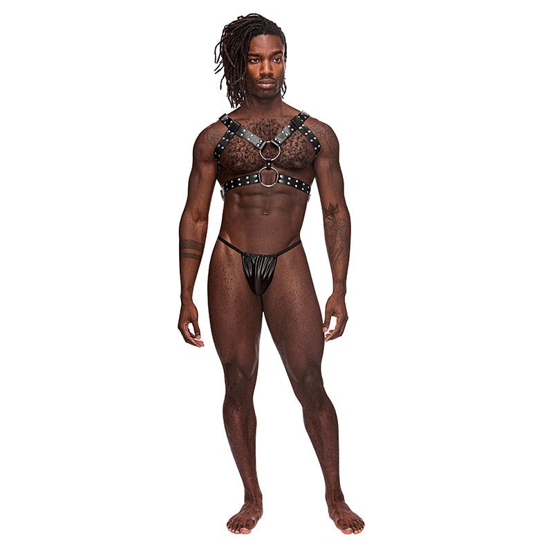 Male Power Leather Gemini Black OS - TruLuv Novelties