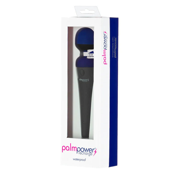 Palmpower Massager USB Rechargeable Blue - TruLuv Novelties