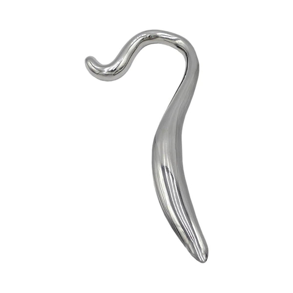 Rouge Stainless Steel Hollow Curved Wand In Case - TruLuv Novelties