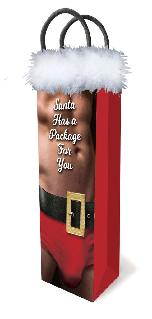 Santa Has a Big Package for You - TruLuv Novelties